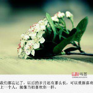 错的人伤感带字图片 愿人生无可辜负