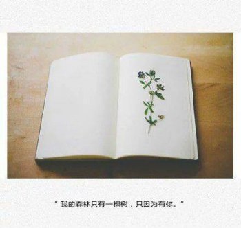 非主流带字图片伤感唯美