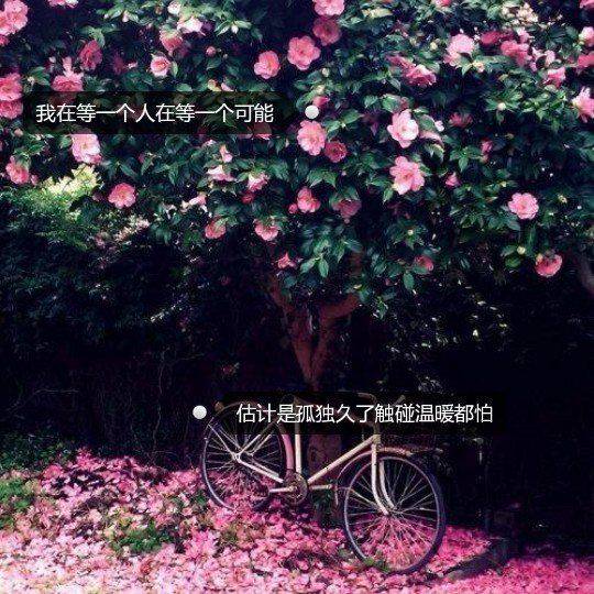 带字图片无助伤感 往事羁绊