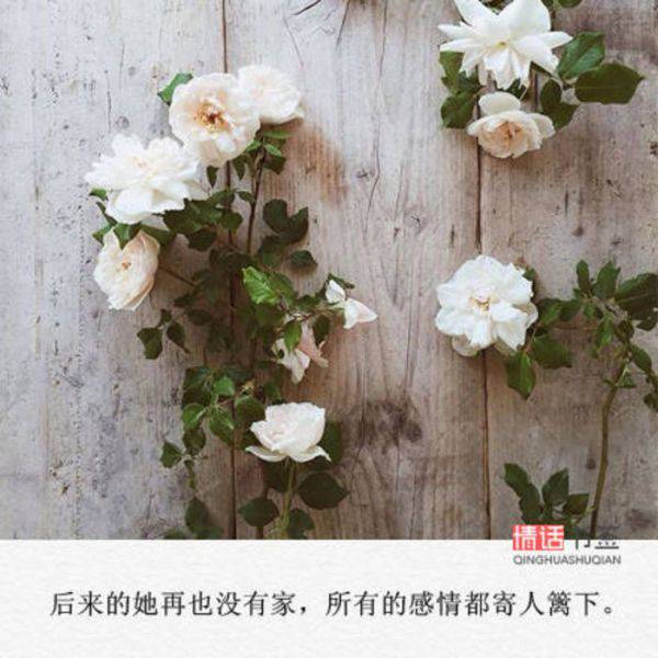 唯美的伤感意境图片带字