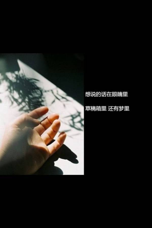 爱情带字语录唯美图片大全