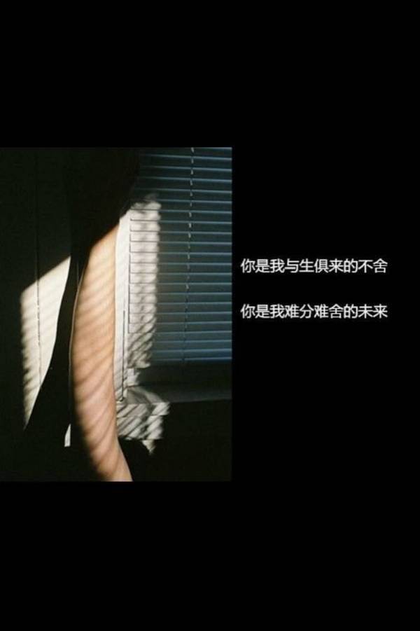 爱情带字语录唯美图片大全