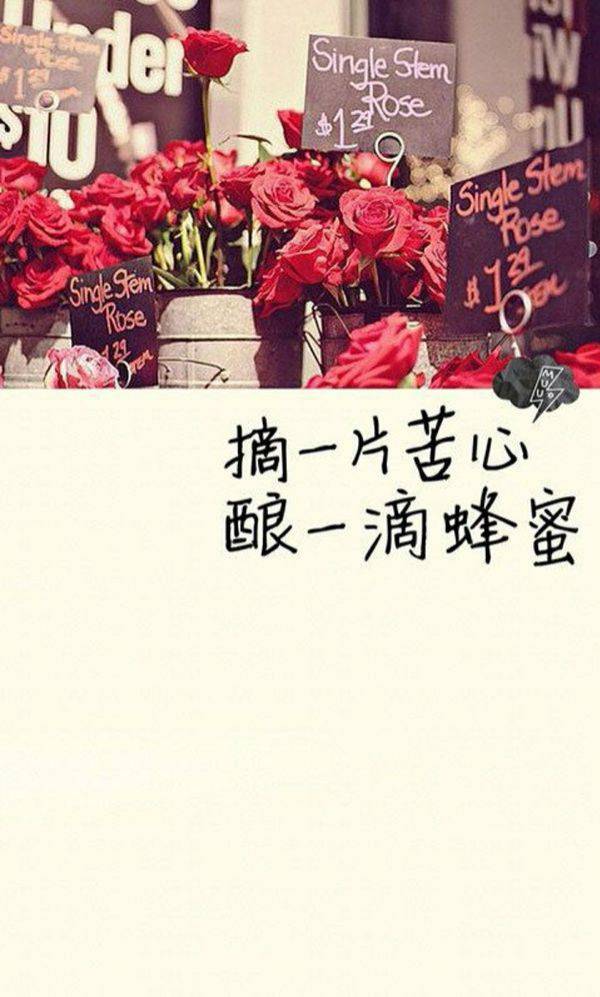 唯美带字语录图片大图 情书再不朽也磨成沙漠