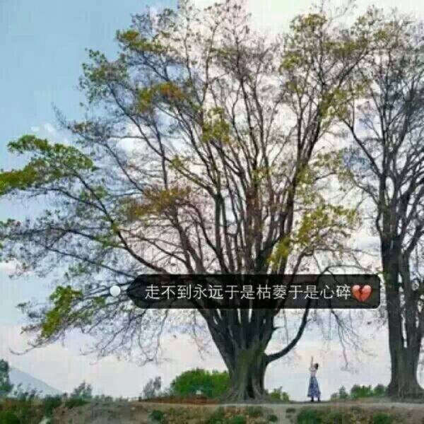 伤感感悟带字图片 到最后才明白