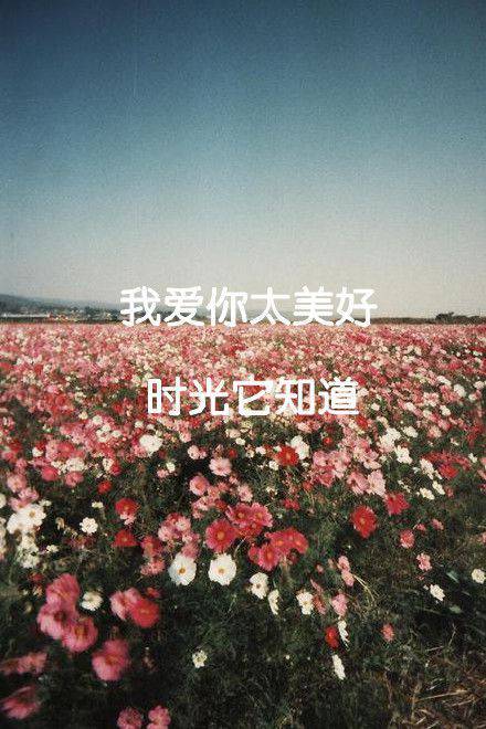 2016年图片唯美个性带字素材