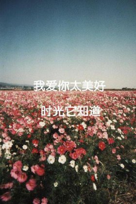 2016年图片唯美个性带字素材