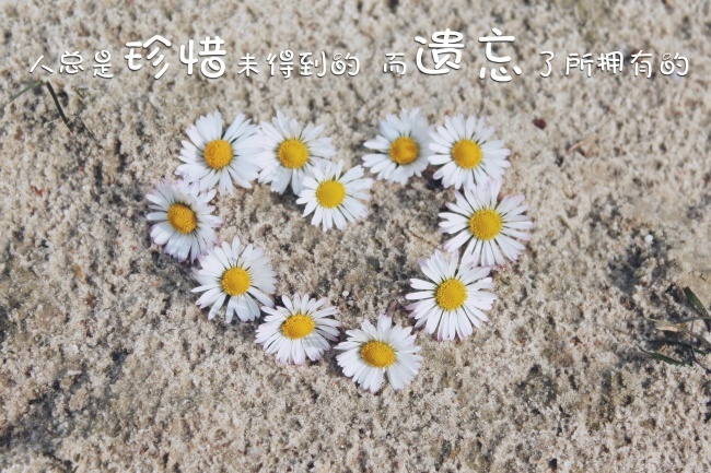 精选非主流心形唯美图片素材