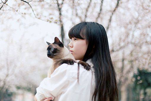 qq女生图片大全2016 回来的不再完美