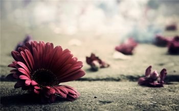 非主流欧美风意境图片