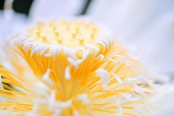 欧美女生意境图片集锦