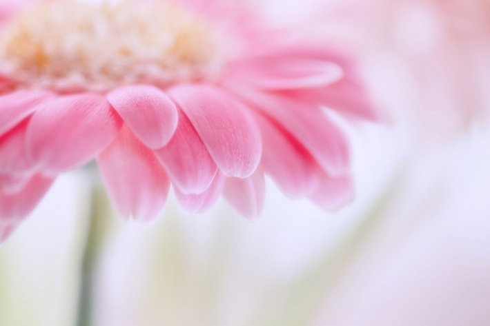 欧美女生意境图片集锦