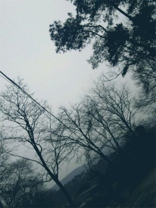 欧美唯美意境风景图片