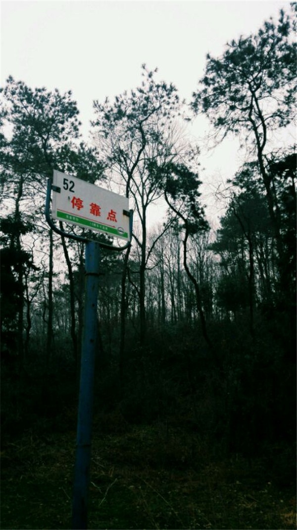 欧美唯美意境风景图片