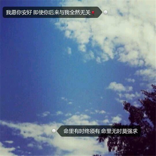 文字控欧美情感意境手机壁纸