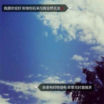 文字控欧美情感意境手机壁纸