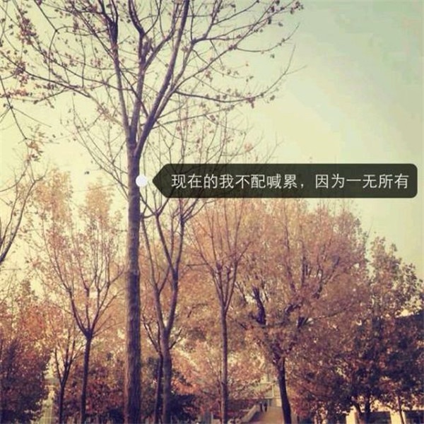 文字控欧美情感意境手机壁纸