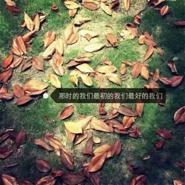 文字控欧美唯美意境壁纸