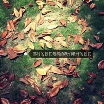 文字控欧美唯美意境壁纸