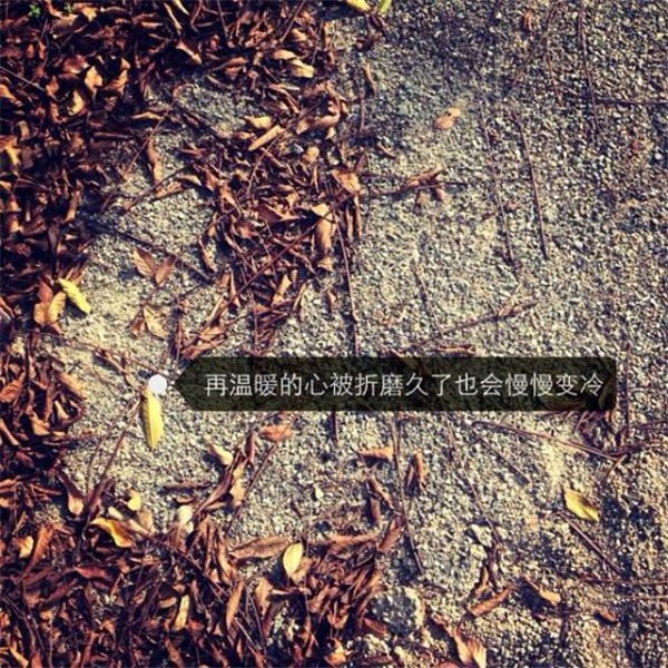 文字控欧美唯美意境壁纸