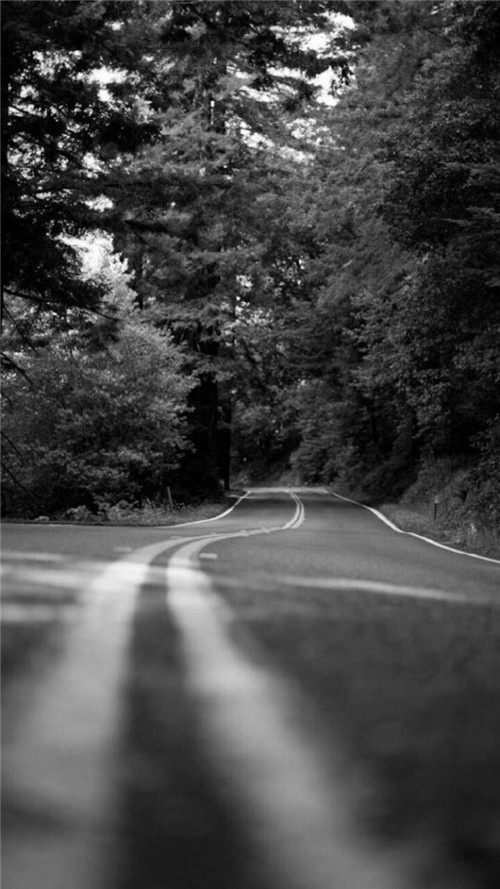 欧美黑白男生精选高清手机壁纸