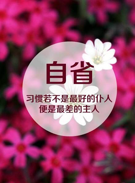 唯美疗伤带字图片大全 给力的文字