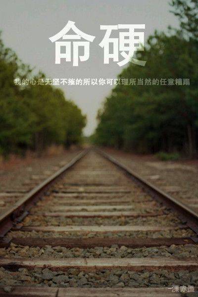 唯美个性带字大图片大全