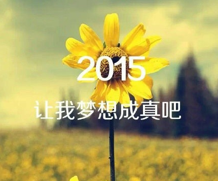 唯美大鲜花带字图片 2016励志素材