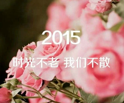 唯美大鲜花带字图片 2016励志素材