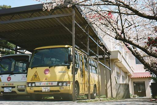 个性化唯美烂漫主题图片