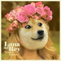 个性搞笑表情狗狗头像图片大全