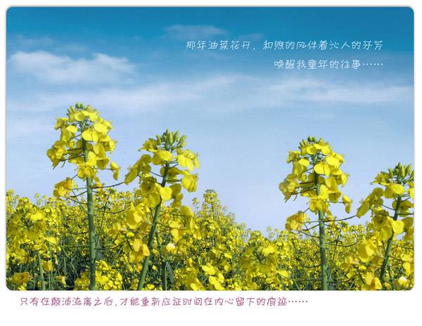 qq个性甜蜜浪漫主题图片大全