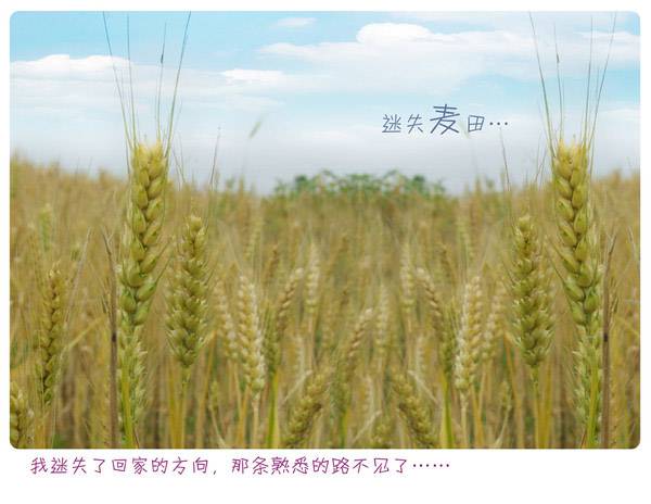 qq个性甜蜜浪漫主题图片大全