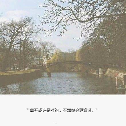 美女拿花带字唯美图片 牵过不该牵的手