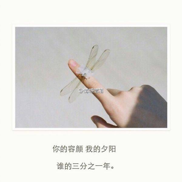 个性唯美带字qq图片大全2016