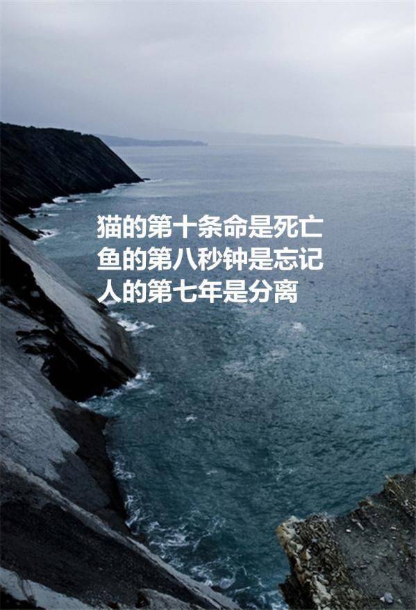 伤感非主流唯美个性带字图片