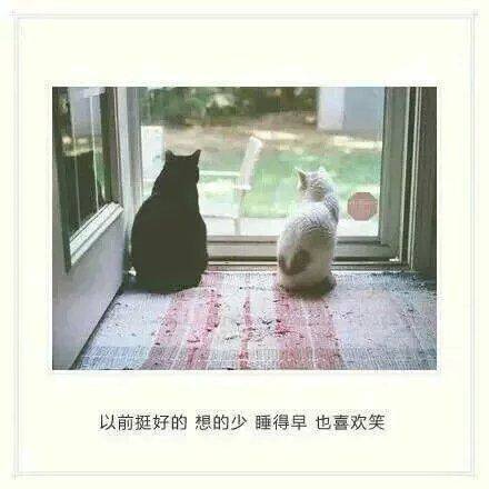 qq女生带字非主流伤感背影图片