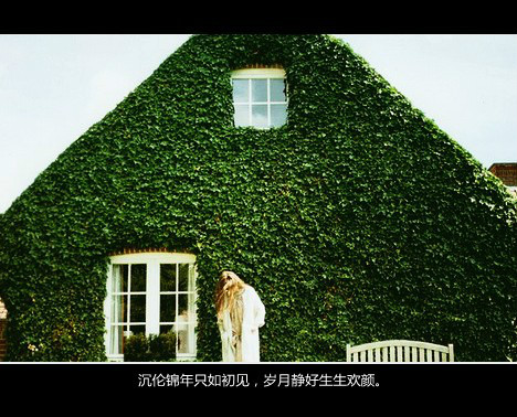 心碎伤感带字风景图片大全