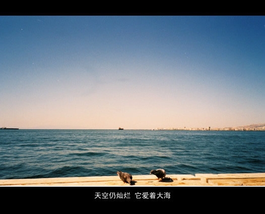 心碎伤感带字风景图片大全