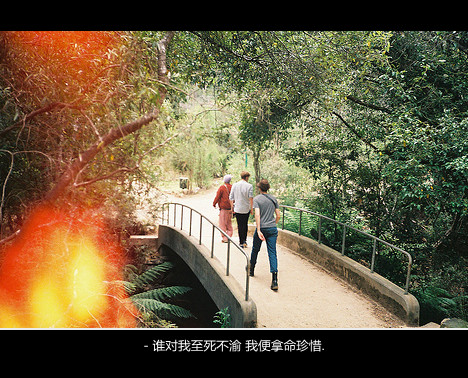 心碎伤感带字风景图片大全