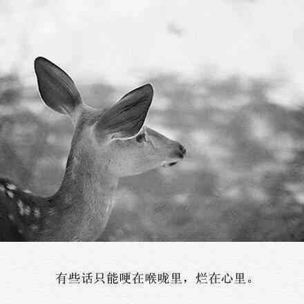 不开心的图片伤感带字语录的图片大全