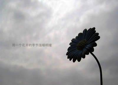 花图片带字个性风景图片