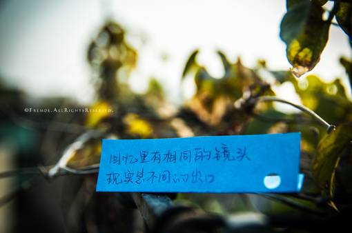 新颖诗意个性带字图片非主流伤感图片大全图片