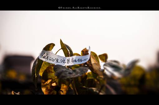 新颖诗意个性带字图片非主流伤感图片大全图片