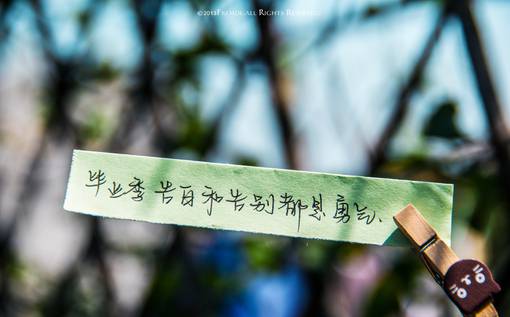 新颖诗意个性带字图片非主流伤感图片大全图片