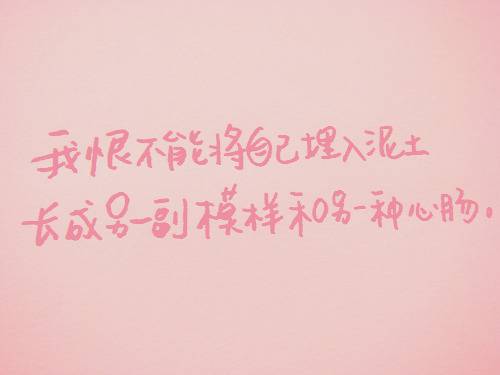 浪漫唯美幸福的带字大图片唯美图片