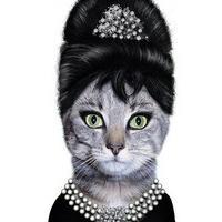 个性搞怪喵星人搞笑系列头像图片大全