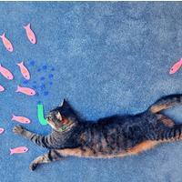 个性搞怪喵星人搞笑系列头像图片大全