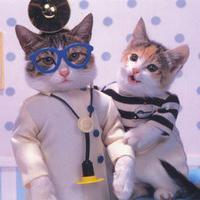 个性搞怪喵星人搞笑系列头像图片大全