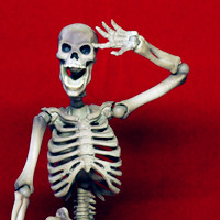 个性搞怪搞笑欧美高清头像图片大全