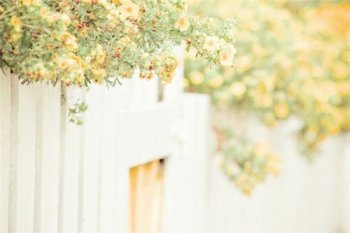 非主流欧美风小清新意境风景图片